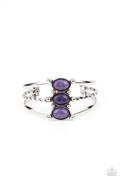 Paparazzi Extra Earthy - Amethyst Purple Bracelet