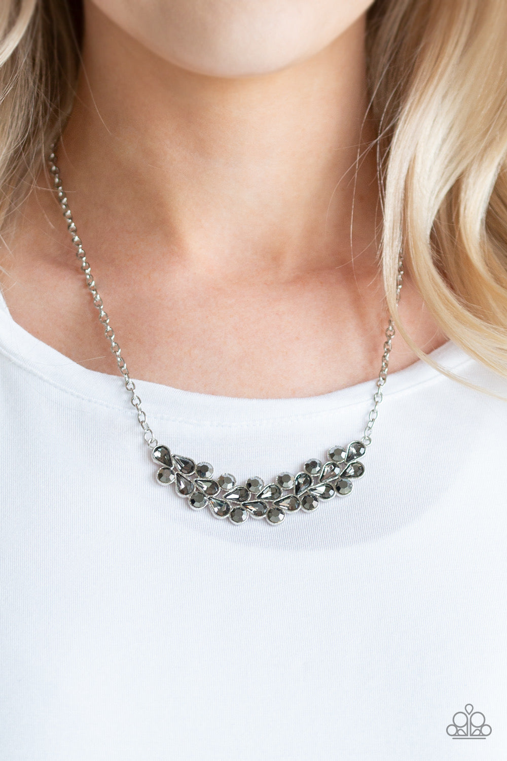 Paparazzi Special Treatment - Silver Necklace
