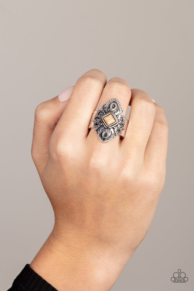 Paparazzi Impressive TREK Record Brown Ring